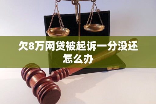 欠8万网贷被起诉一分没还怎么办