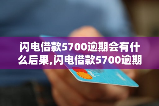 闪电借款5700逾期会有什么后果,闪电借款5700逾期需要承担哪些责任