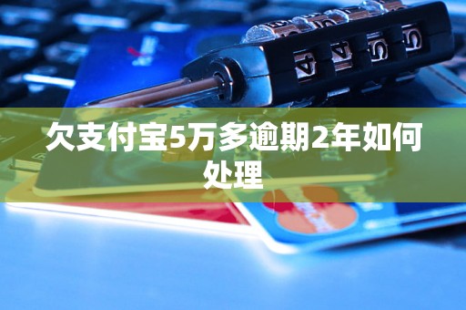 欠支付宝5万多逾期2年如何处理