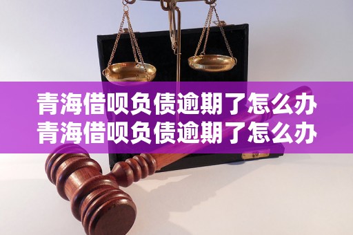 青海借呗负债逾期了怎么办青海借呗负债逾期了怎么办青海借呗负债逾期了怎么办