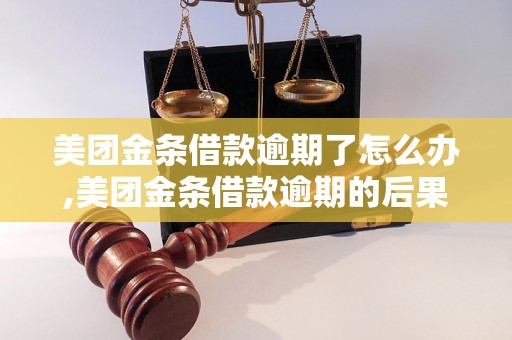 美团金条借款逾期了怎么办,美团金条借款逾期的后果及解决方法