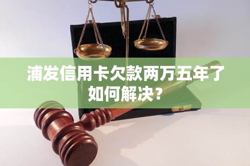 浦发信用卡欠款两万五年了如何解决？