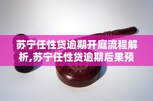 苏宁任性贷逾期开庭流程解析,苏宁任性贷逾期后果预警