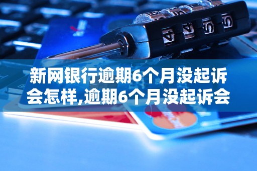 新网银行逾期6个月没起诉会怎样,逾期6个月没起诉会有什么后果