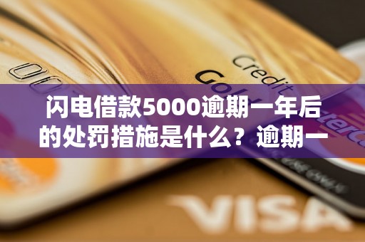 闪电借款5000逾期一年后的处罚措施是什么？逾期一年后如何解决借款问题？