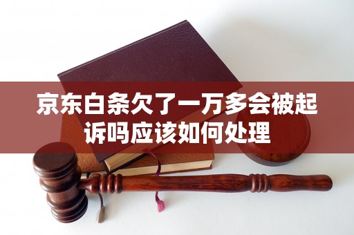 京东白条欠了一万多会被起诉吗应该如何处理