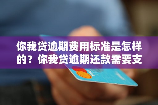 你我贷逾期费用标准是怎样的？你我贷逾期还款需要支付多少费用？