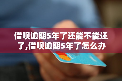 借呗逾期5年了还能不能还了,借呗逾期5年了怎么办