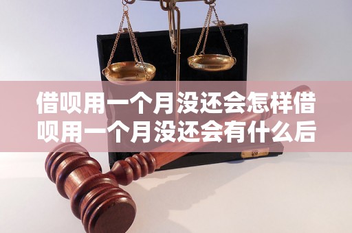 借呗用一个月没还会怎样借呗用一个月没还会有什么后果