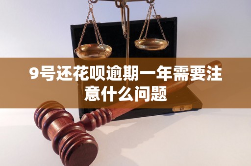 9号还花呗逾期一年需要注意什么问题