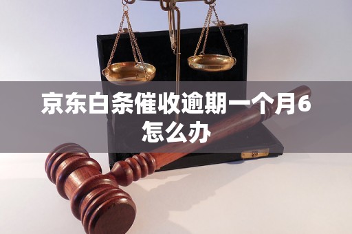 京东白条催收逾期一个月6怎么办