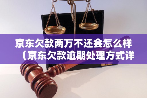 京东欠款两万不还会怎么样（京东欠款逾期处理方式详解）