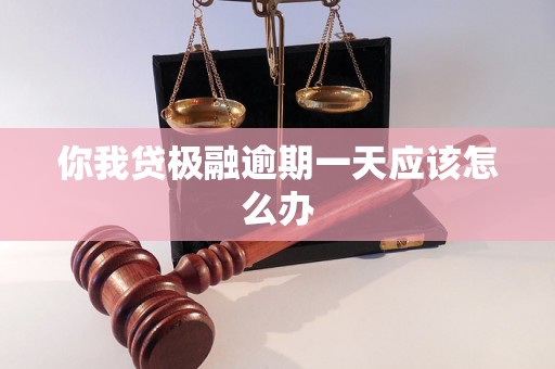 你我贷极融逾期一天应该怎么办