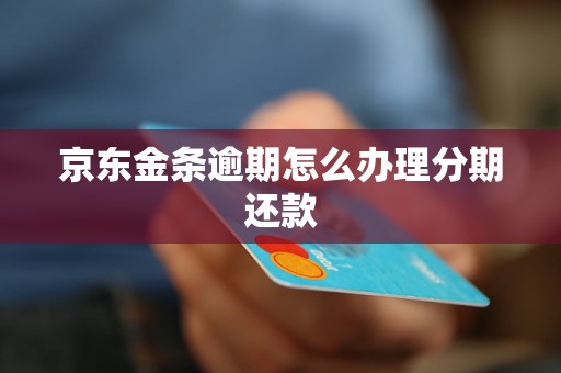 京东金条逾期怎么办理分期还款