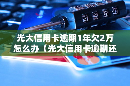 光大信用卡逾期1年欠2万怎么办（光大信用卡逾期还款的处理方法）