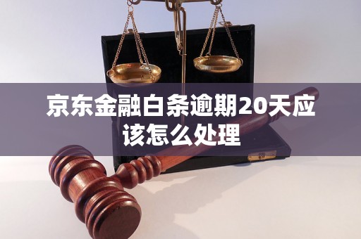 京东金融白条逾期20天应该怎么处理