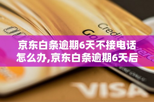 京东白条逾期6天不接电话怎么办,京东白条逾期6天后的处理方法