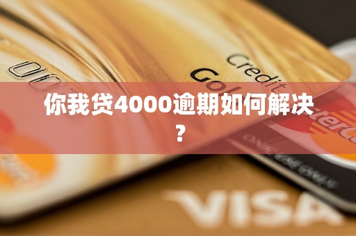 你我贷4000逾期如何解决？