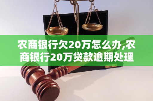 农商银行欠20万怎么办,农商银行20万贷款逾期处理方法