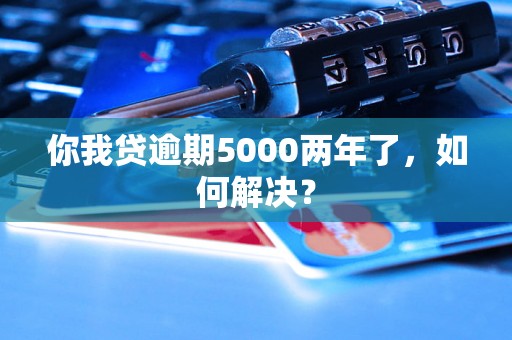 你我贷逾期5000两年了，如何解决？