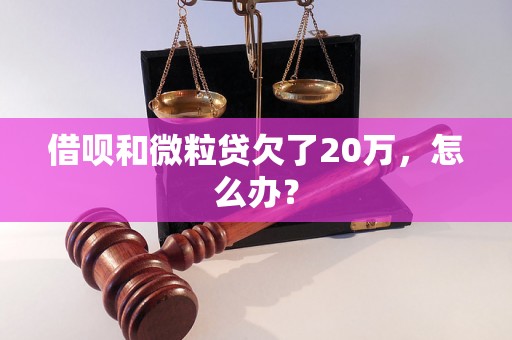 借呗和微粒贷欠了20万，怎么办？