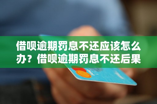 借呗逾期罚息不还应该怎么办？借呗逾期罚息不还后果严重吗？