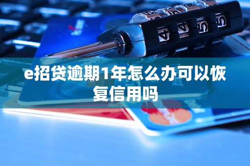 e招贷逾期1年怎么办可以恢复信用吗