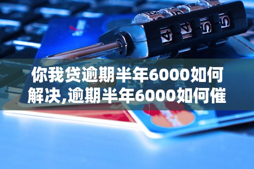 你我贷逾期半年6000如何解决,逾期半年6000如何催收处理