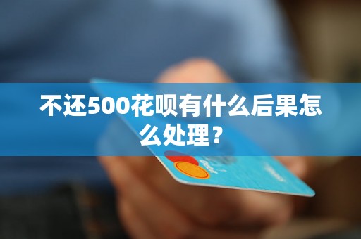 不还500花呗有什么后果怎么处理？