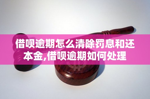 借呗逾期怎么清除罚息和还本金,借呗逾期如何处理