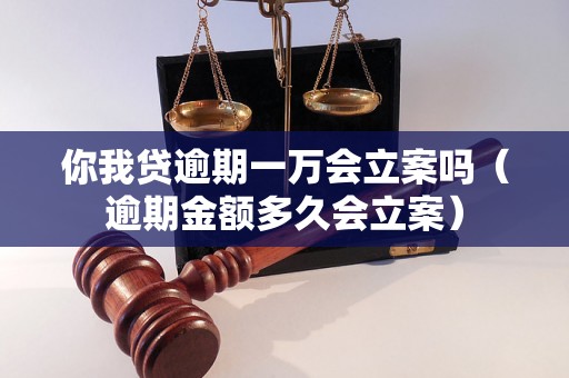 你我贷逾期一万会立案吗（逾期金额多久会立案）