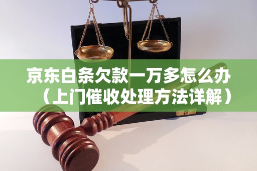 京东白条欠款一万多怎么办（上门催收处理方法详解）