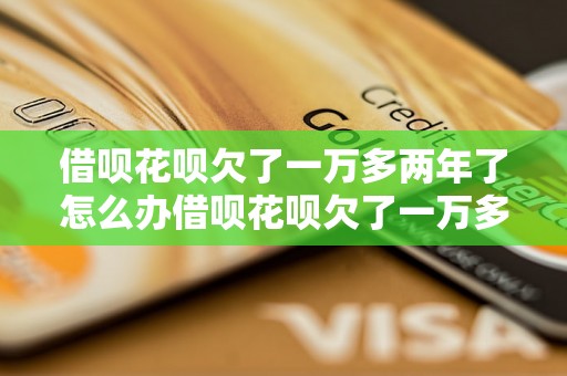 借呗花呗欠了一万多两年了怎么办借呗花呗欠了一万多两年了怎么办如何解决？