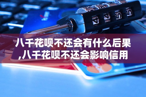 八千花呗不还会有什么后果,八千花呗不还会影响信用吗