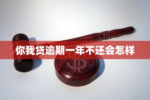 你我贷逾期一年不还会怎样