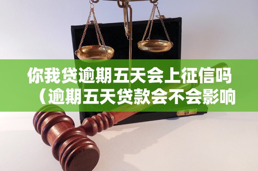 你我贷逾期五天会上征信吗（逾期五天贷款会不会影响个人征信记录）