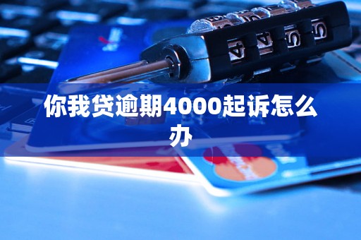 你我贷逾期4000起诉怎么办