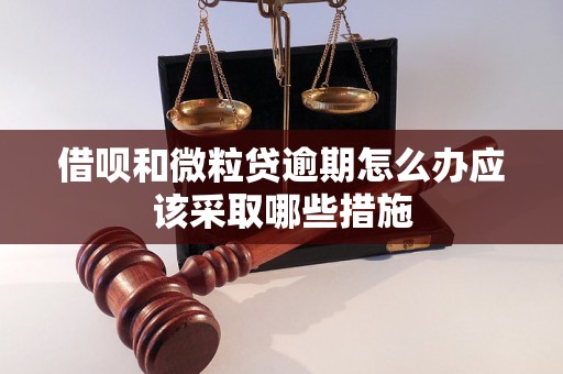 借呗和微粒贷逾期怎么办应该采取哪些措施