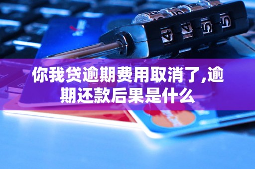 你我贷逾期费用取消了,逾期还款后果是什么