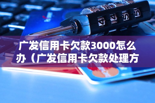 广发信用卡欠款3000怎么办（广发信用卡欠款处理方法）