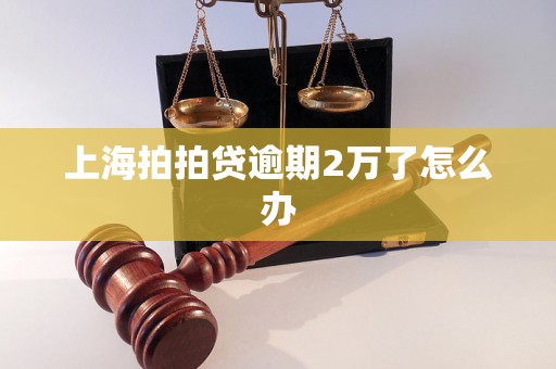 上海拍拍贷逾期2万了怎么办