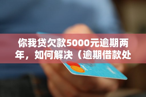 你我贷欠款5000元逾期两年，如何解决（逾期借款处理方法详解）