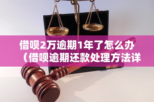 借呗2万逾期1年了怎么办（借呗逾期还款处理方法详解）