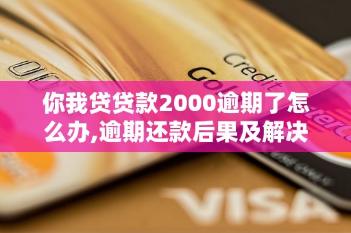 你我贷贷款2000逾期了怎么办,逾期还款后果及解决办法