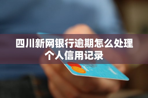 四川新网银行逾期怎么处理个人信用记录