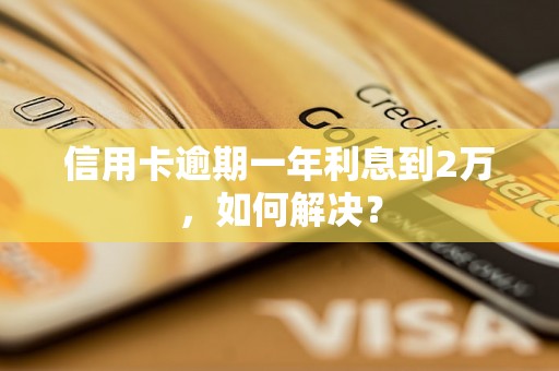 信用卡逾期一年利息到2万，如何解决？