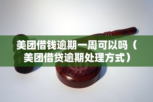 美团借钱逾期一周可以吗（美团借贷逾期处理方式）