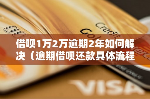 借呗1万2万逾期2年如何解决（逾期借呗还款具体流程）