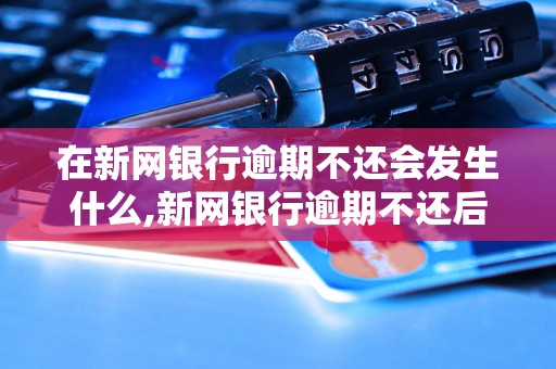 在新网银行逾期不还会发生什么,新网银行逾期不还后果严重吗