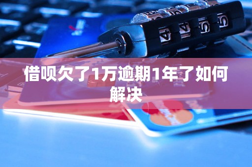 借呗欠了1万逾期1年了如何解决